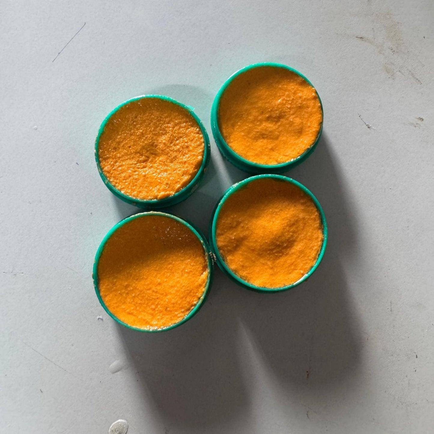 Cockroach Killer Powder Gel (Pack of 24pc)